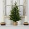 2ft. Pre-Lit Artificial Christmas Tree in Decorative Basket, Clear LED Lights
